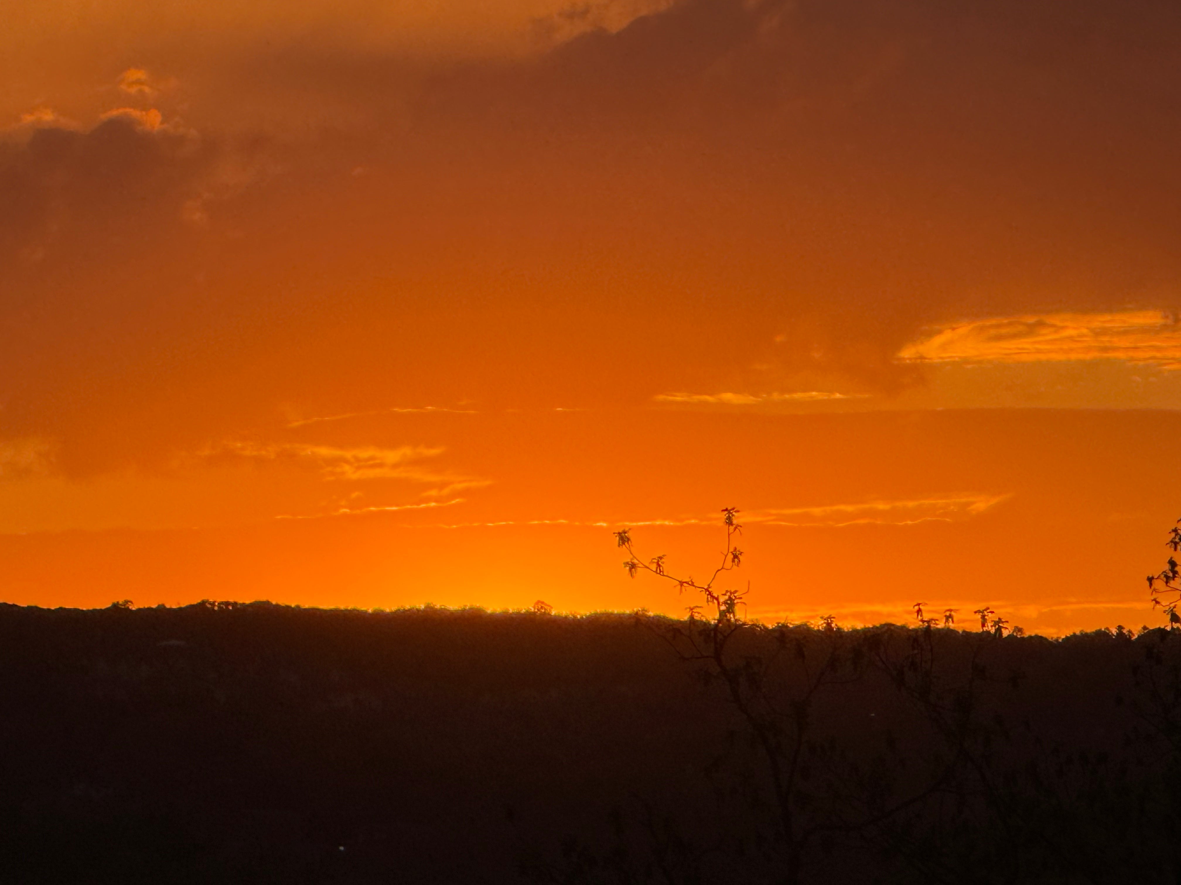 Reflections of the Skin: Musings on 2025